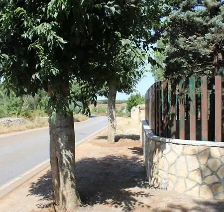Palagogna