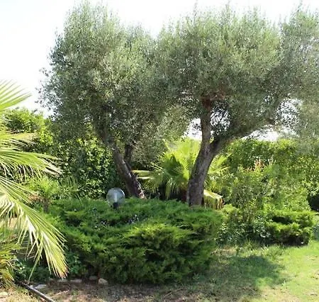 Palagogna Nyaraló
