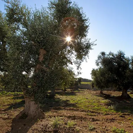 Palagogna Nyaraló