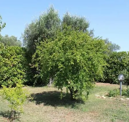 Palagogna * Ceglie Messapica